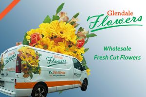 florist supplies link to login to Glendale Flowers webshop showing glendale flowers logo and van